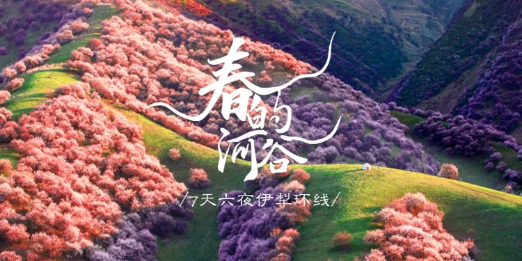 【伊犁河谷杏花沟】初春伊犁+治愈赛湖+隐士桃源四宫村+蓝色之城旅拍，聆听春呼吸