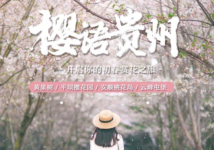 樱语贵州 | 不输日本的赏樱目的地，避开人流，花海下午茶，万亩花田等你来