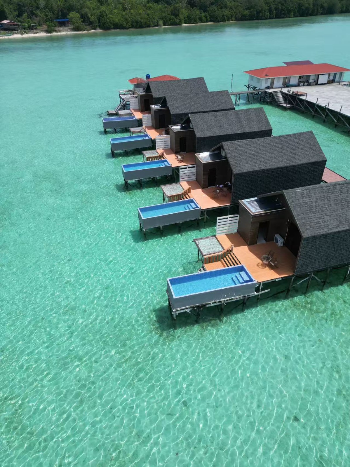 仙本那海龟海藻水屋